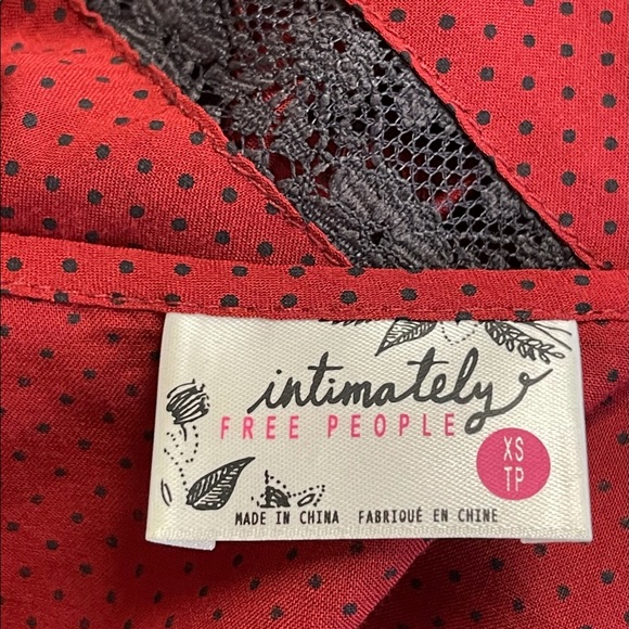 Beautiful Free People voile and lace mini dress! - Picture 8 of 9